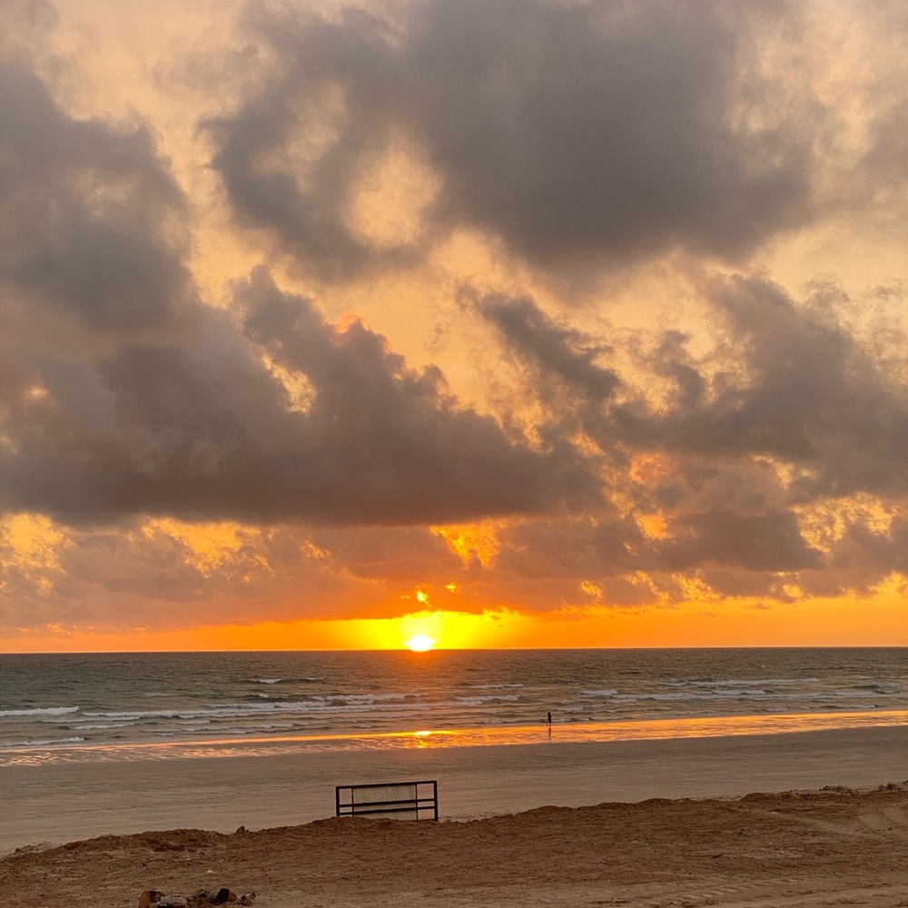 Meet your Posher, Philip